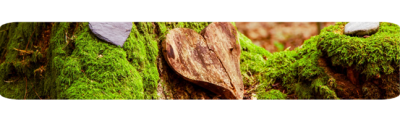 Green Burial